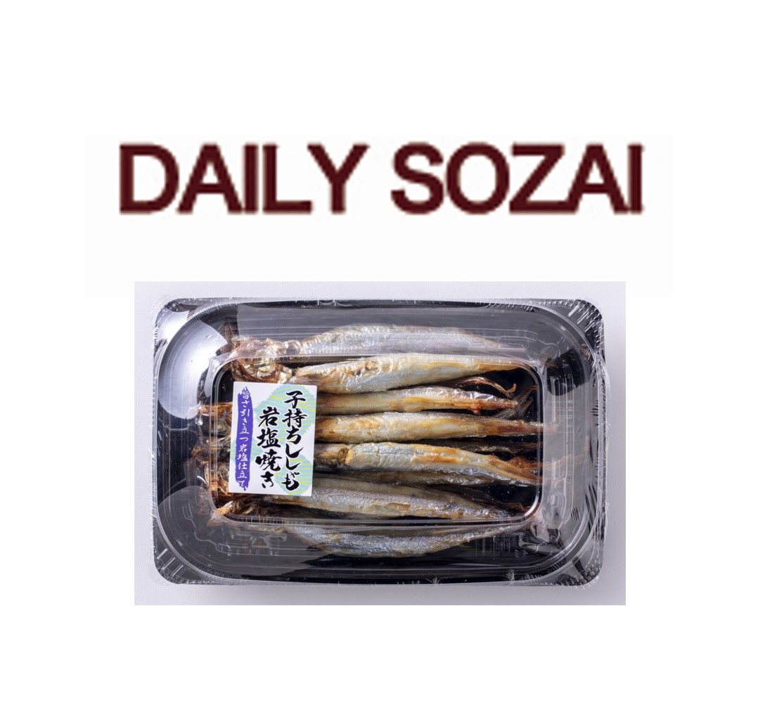 DAILYSOZAI